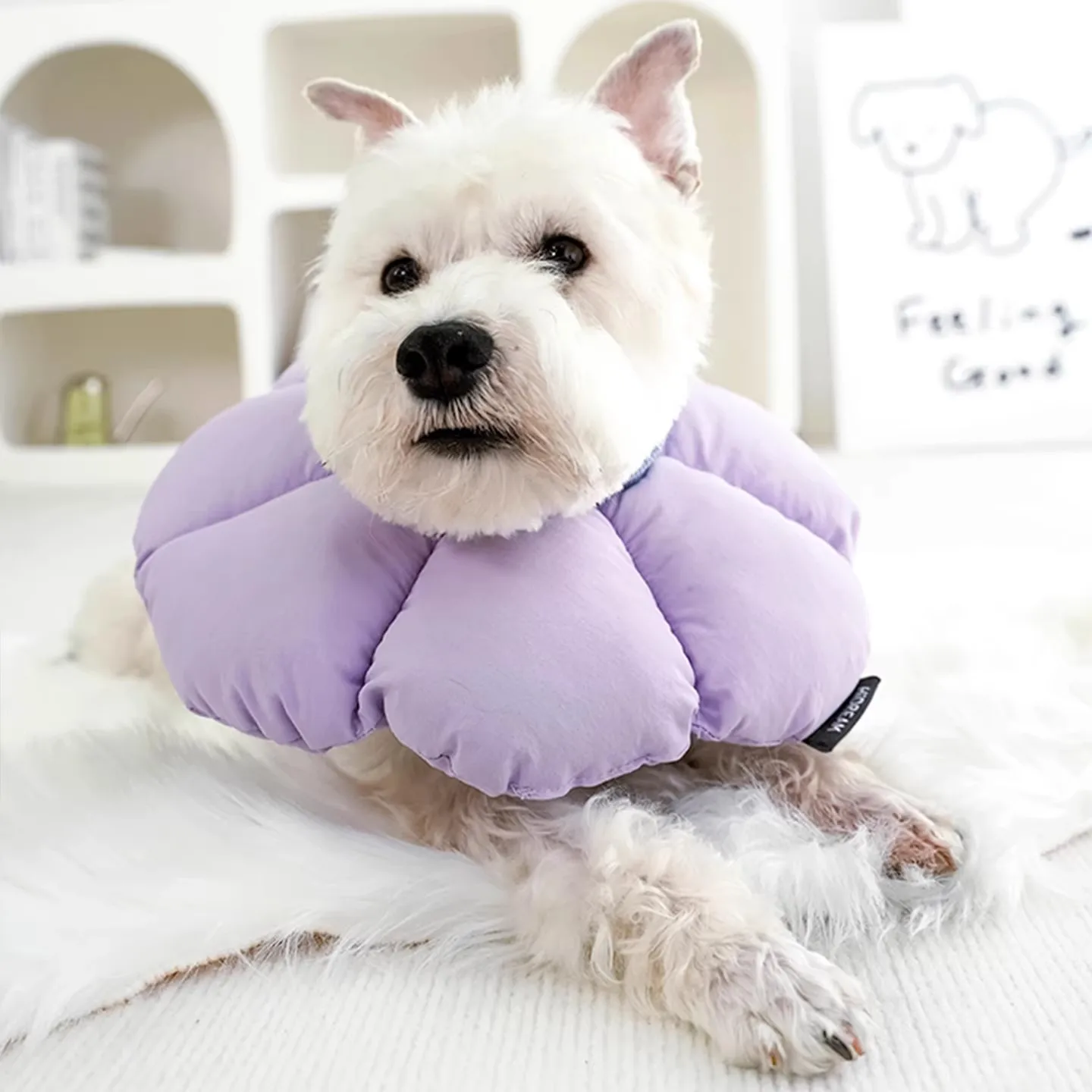 adjustable-elizabethan-collar-for-pet-cats-and-dogs-post-sterilization-wound-protection-anti-scratch-anti-lick-headset-mk