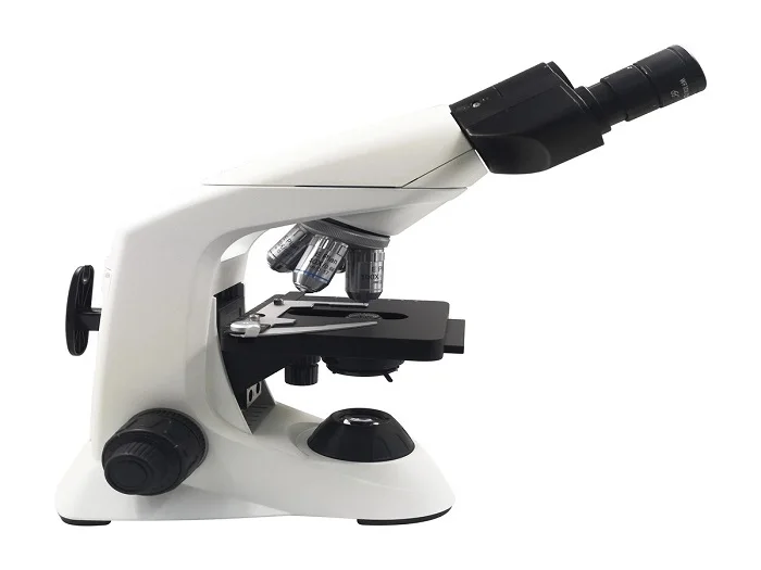A white compound microscope with dual eyepieces, a black nosepiece, and a stage for holding slides