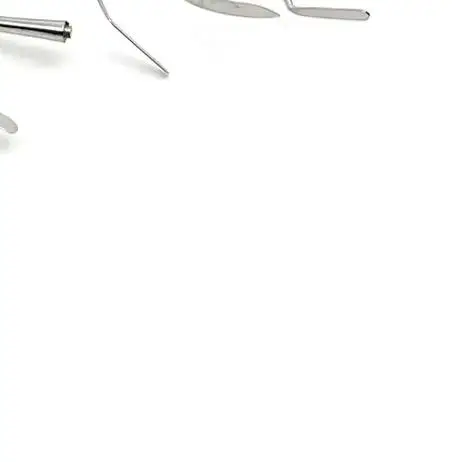 

10pc/set Dental Resin Filler Kit w/ Silicone Handle Aesthetic Restoration Tools for Dentistry Durable & Precise