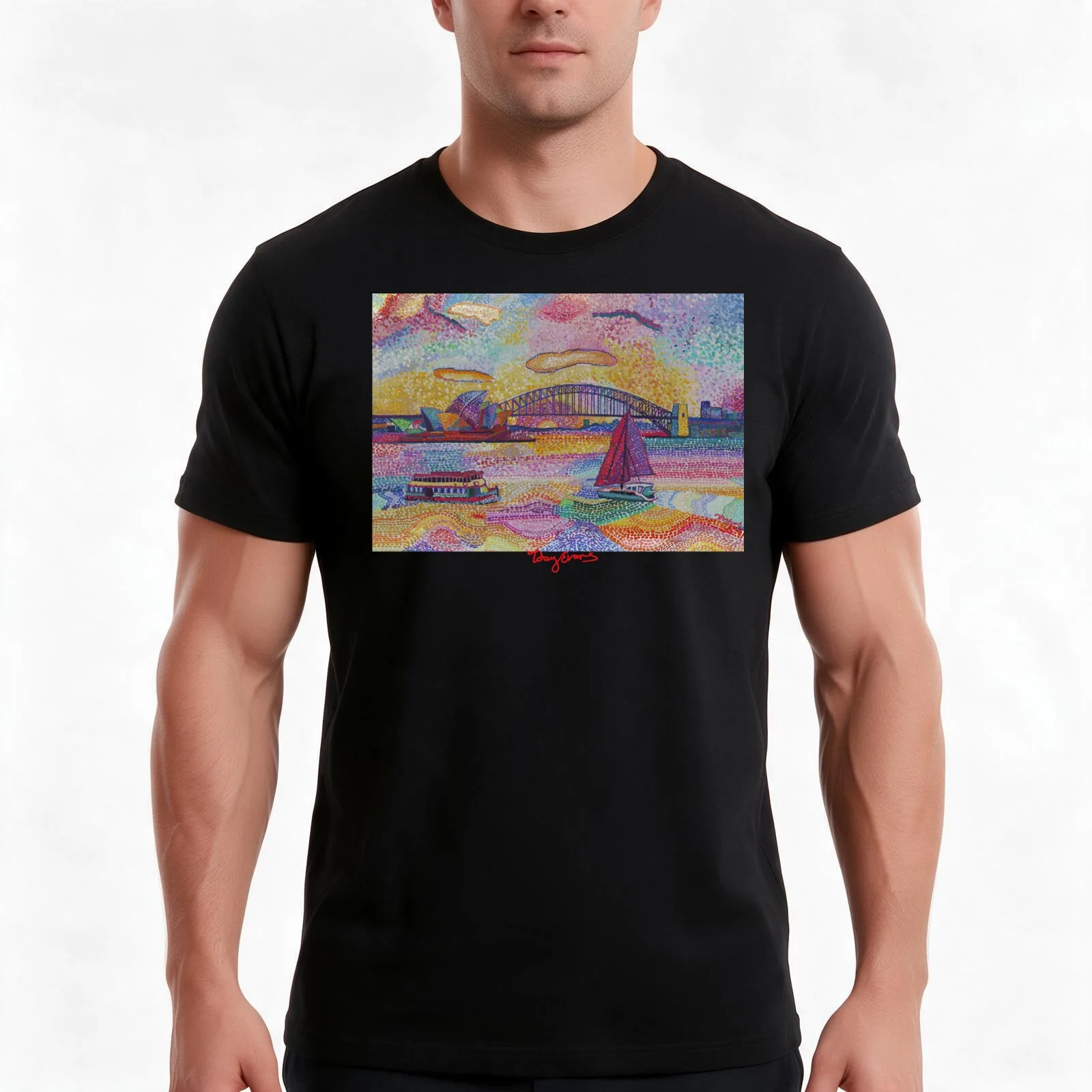 Sydney Harbour Bridge and Opera house. T-Shirt, Summer Casual Cotton Tee, Oversized Streetwear Tops, Vintage Graphic Print