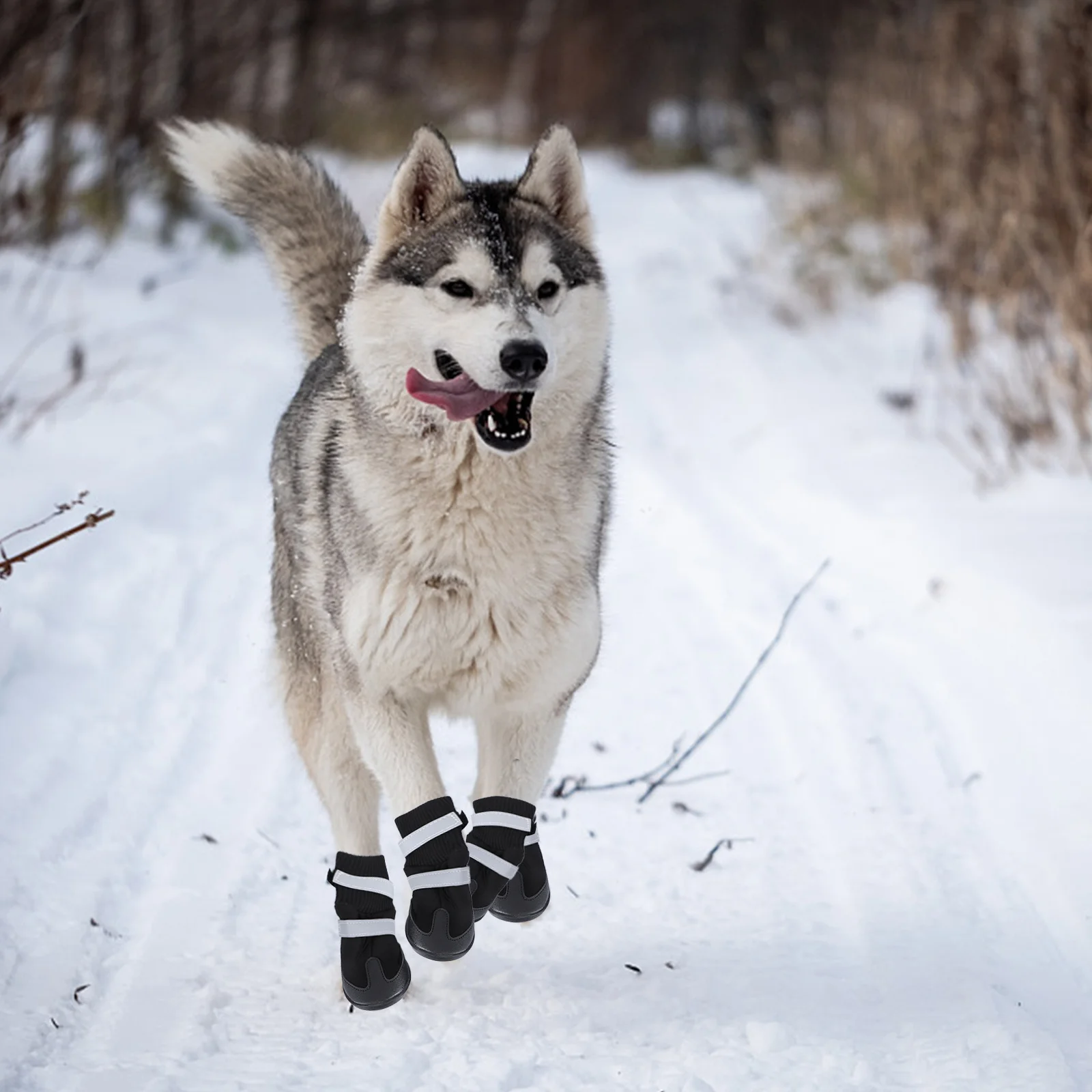 

4Pcs Pet Dog Boots Waterproof Black Size L for Medium Large Dogs Hiking Running Snow Warm Winter Shoes Pet Dog Shoes