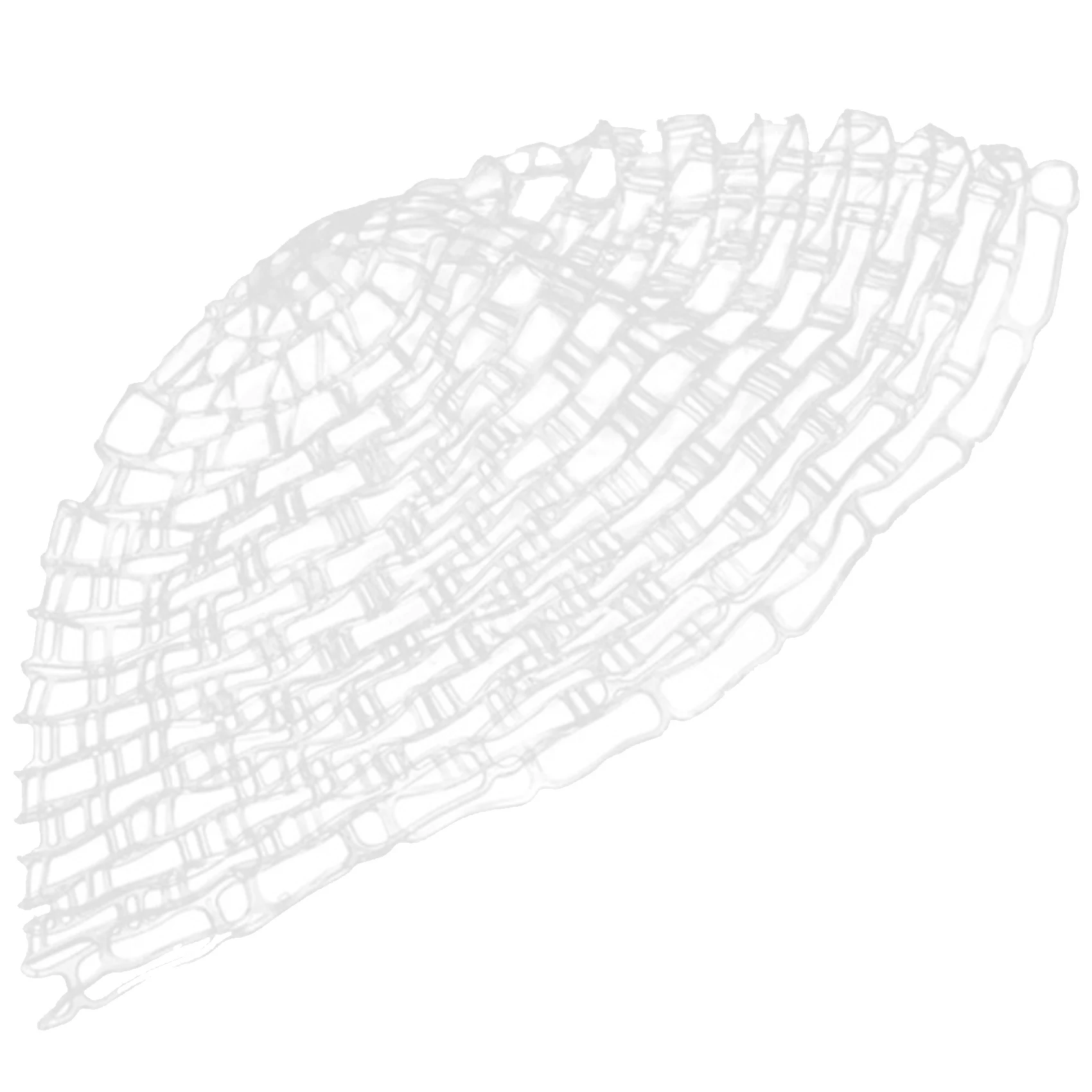 【STOCK】47 Inch Clear Rubber Replacement Net Replacement Bag For Fly Fishing Landing Net Fishing Tackles - view 2
