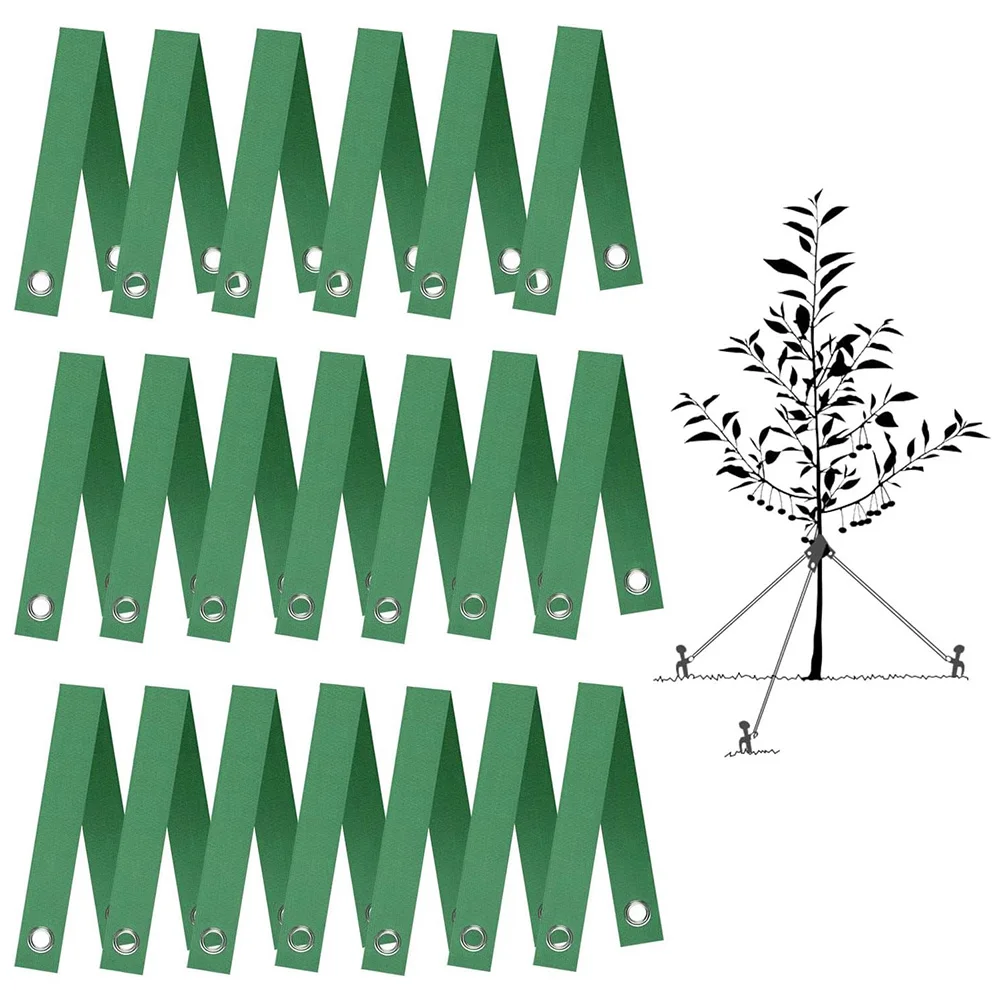 4/8/20PCS Tree Straps for Staking Tree Support Straps for Newly Planted Saplings Hurricane Protection Tree Straightening Ties