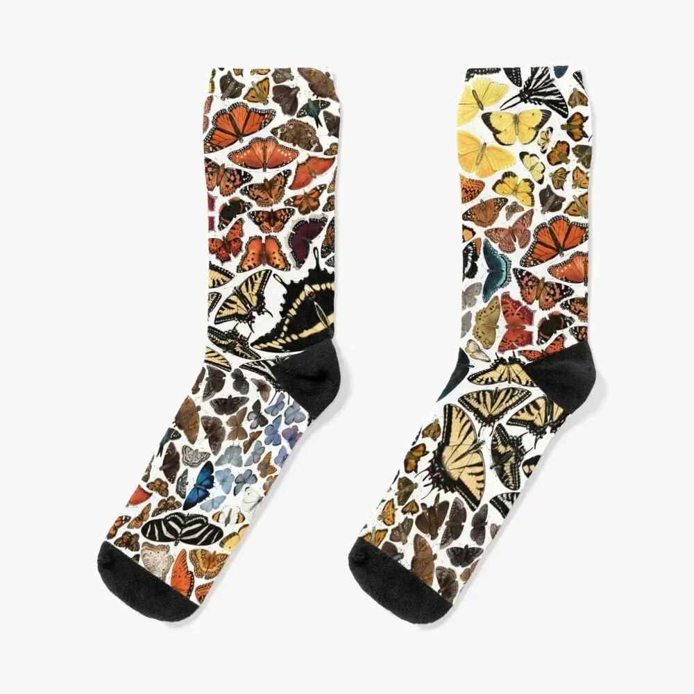 Butterflies of North America Pattern Socks designer brand loose Antiskid soccer Socks Man Women's