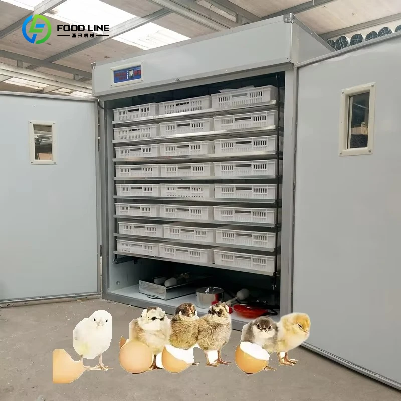 Automatic Chicken Eggs Hatch Intelligent Next-generation Multi-purpose Incubation Equipment,egg Incubator and Hatcher Customized