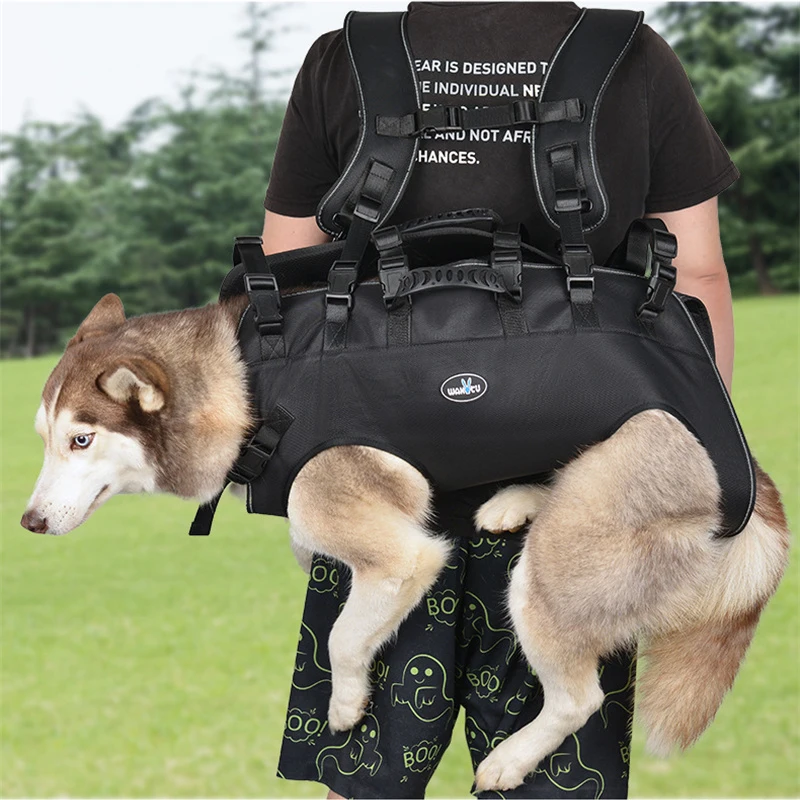 Imagem -02 - Puppy Lift Harness Sling para Cães Apoio da Escada da Perna Traseira Lesões Articulares com Deficiência Antigas Artrite Cães Grandes Escadas