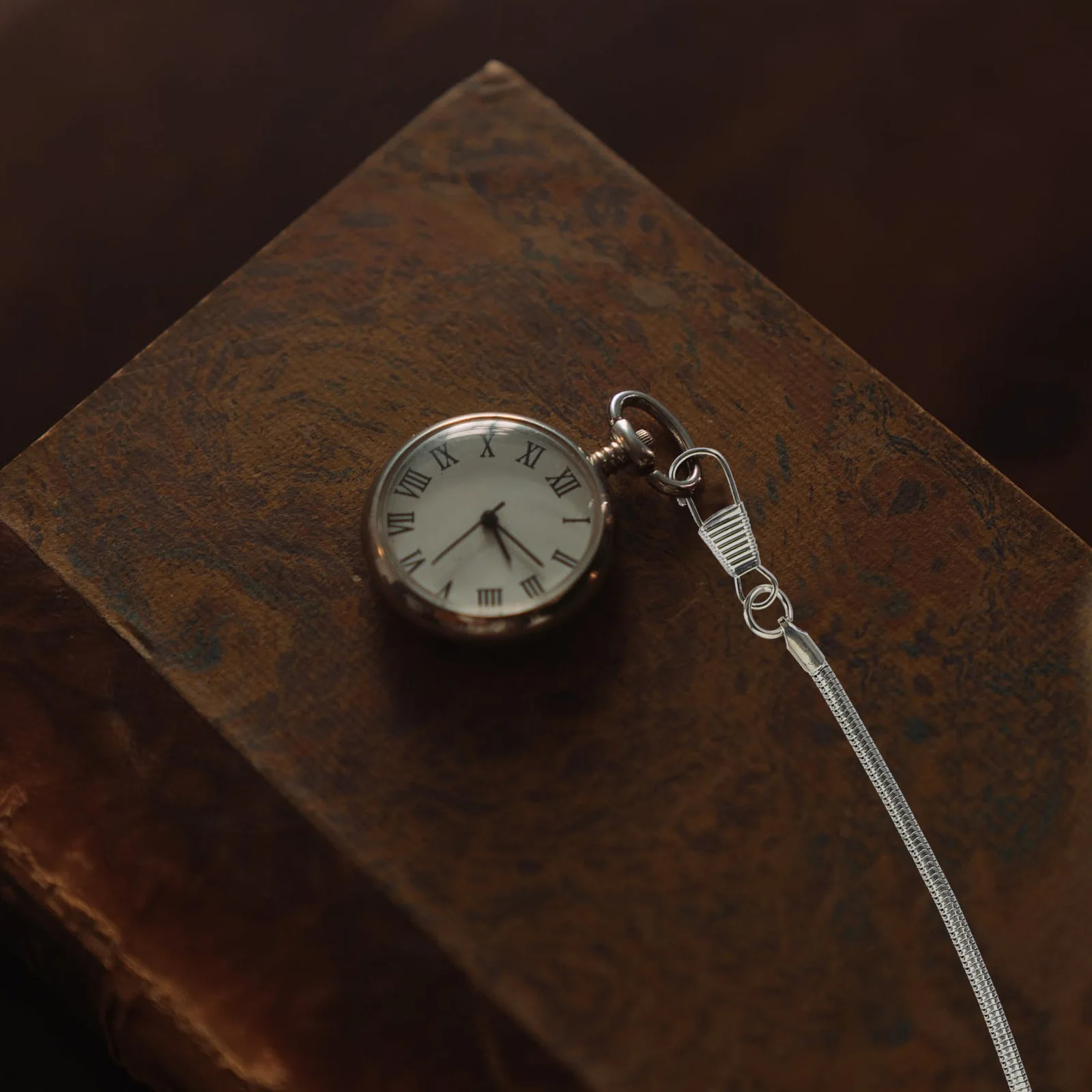 

Metal Alloy Chains For Pocket Watch Vintage Hanging Pendant Retro Watch Supplies Clip Chain Decor Alloy Pocket Chain