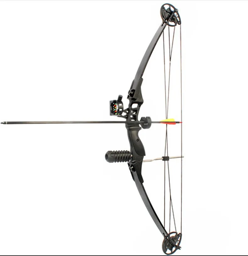 

Bowfishing Compound Bow Kit 30-40lbs Bow Fishing Hunting Reel Archery Right Hand Let-off 70% junxing M183