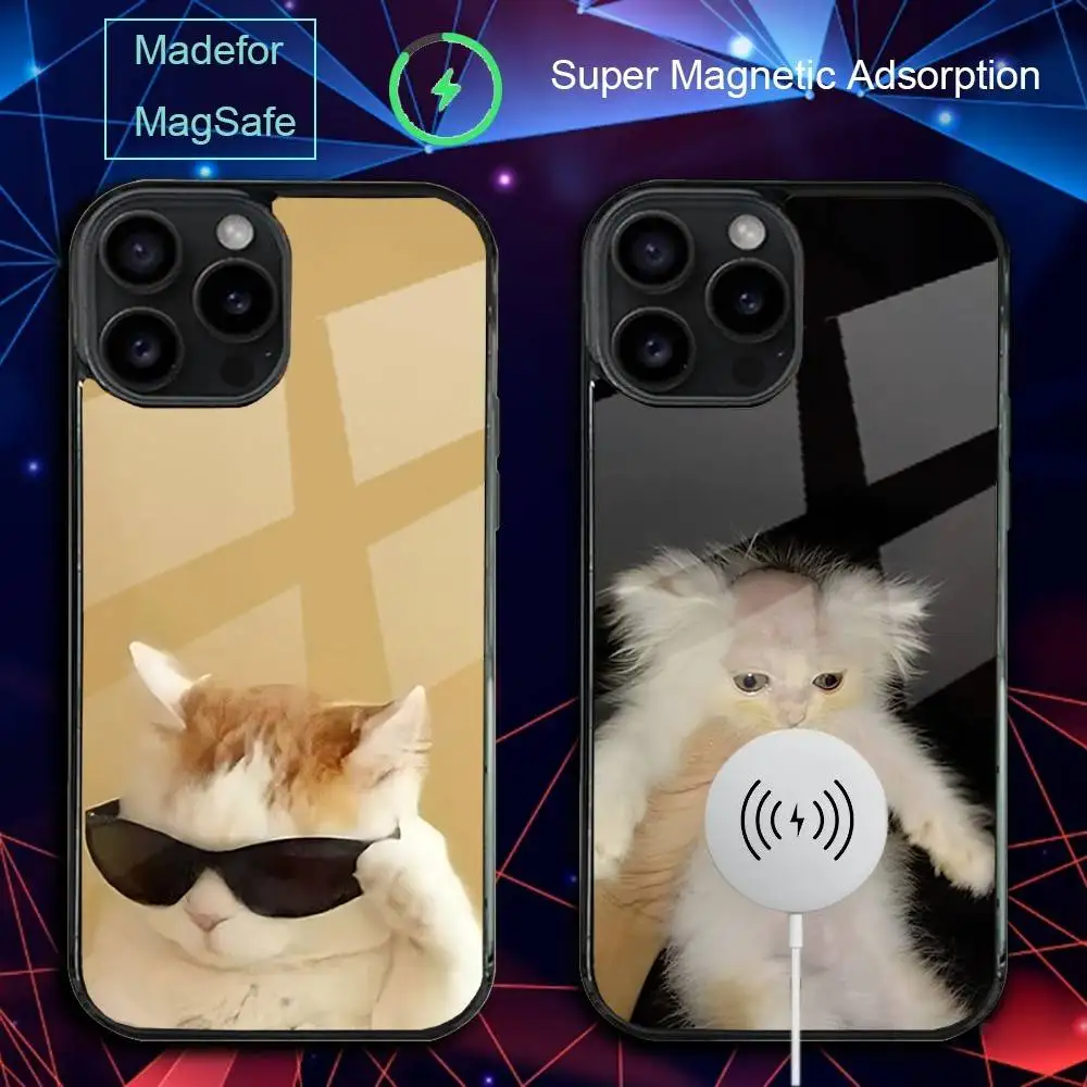 

F-Funny Cat Cute Meme Phone Case For iPhone 17,16,15,14,13,12,11,Pro,Max,Plus,Mini,SE4,E Magnetic Magsafe Wireless Charging