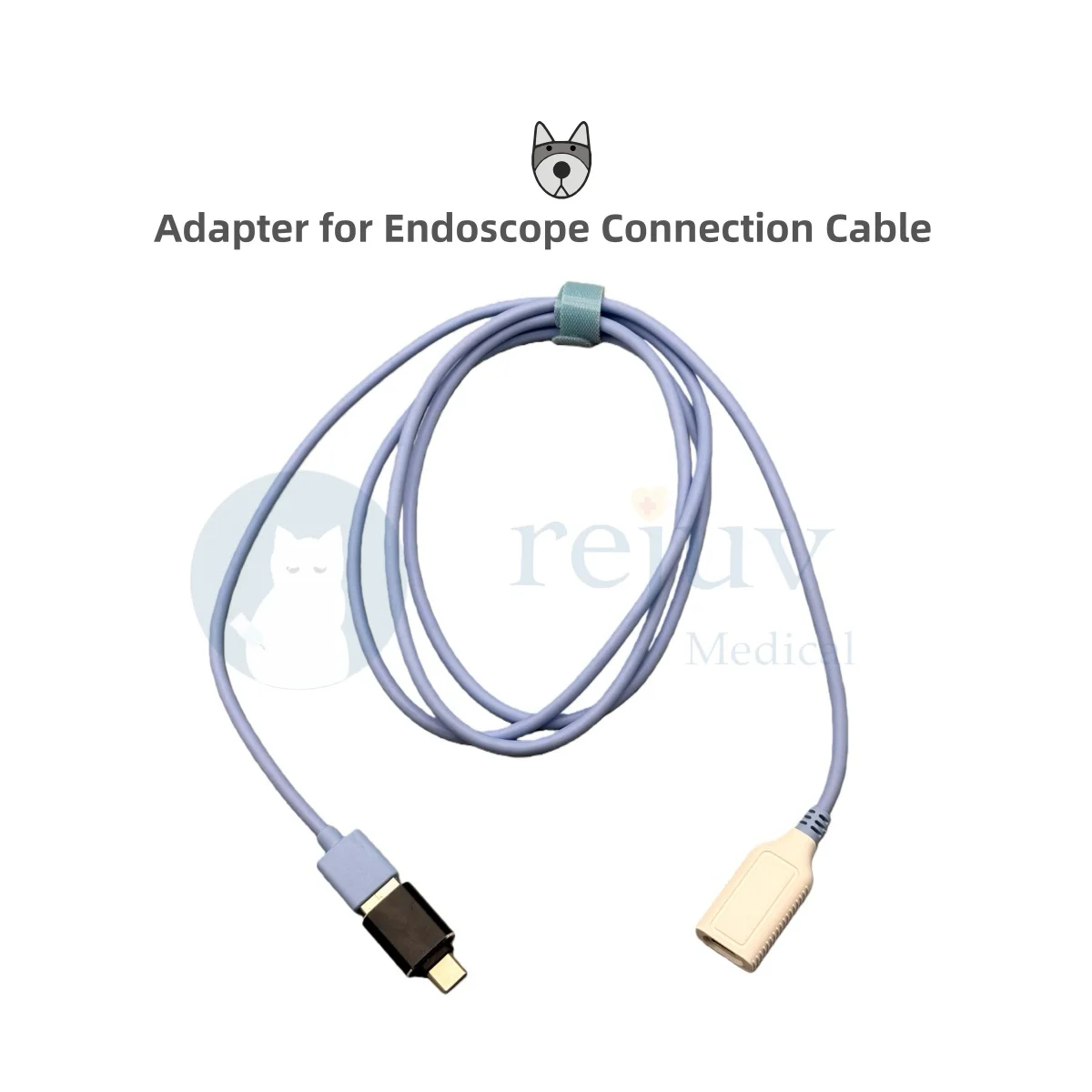 Vet Adapter for Endoscope Gastrointestinal Connection Cable Two Types of Interfaces Veterinary Surgery Veterinarian
