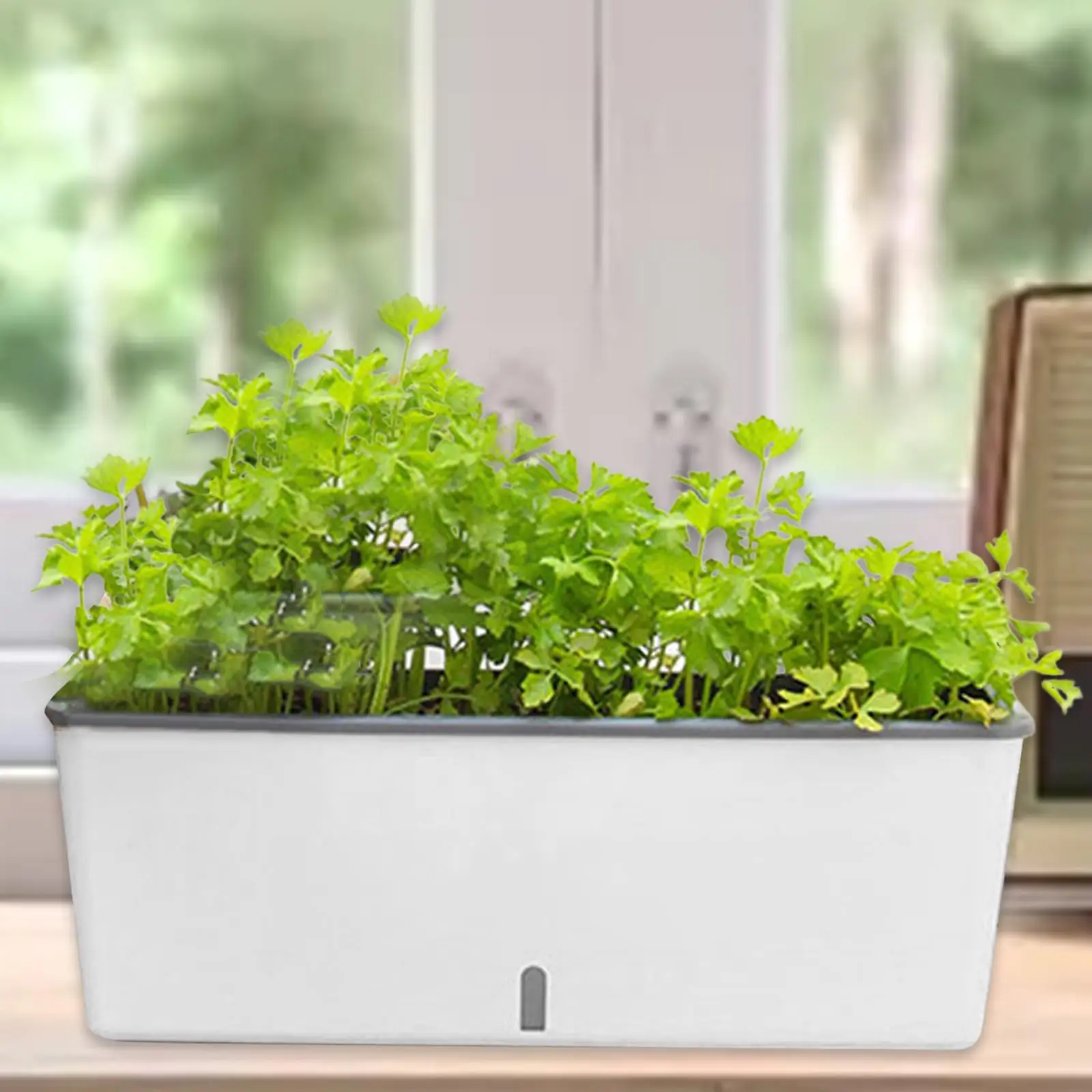 

Оконная коробка, самополивный многофункциональный цветочный горшок, контейнер, прямоугольная коробка для цветов для сада, патио, двора, украшения балкона