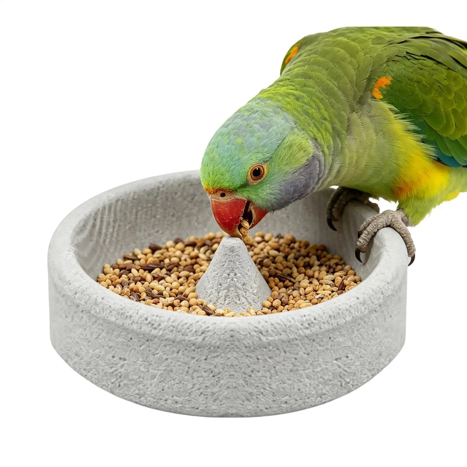 Round Parrot Feeding Bowl Parrot Stone Basin Food Feeder Water Grinder Beak Mosquito Incense Shape Bird Basin Parrot Bird Supply