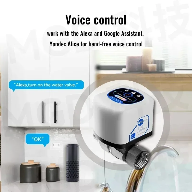 صمام Zigbee3.0 الذكي DN15/DN20/DN25 Smat Home App التحكم عن بعد يعمل مع eWelink تحية أليكس أليس مساعد جوجل #4