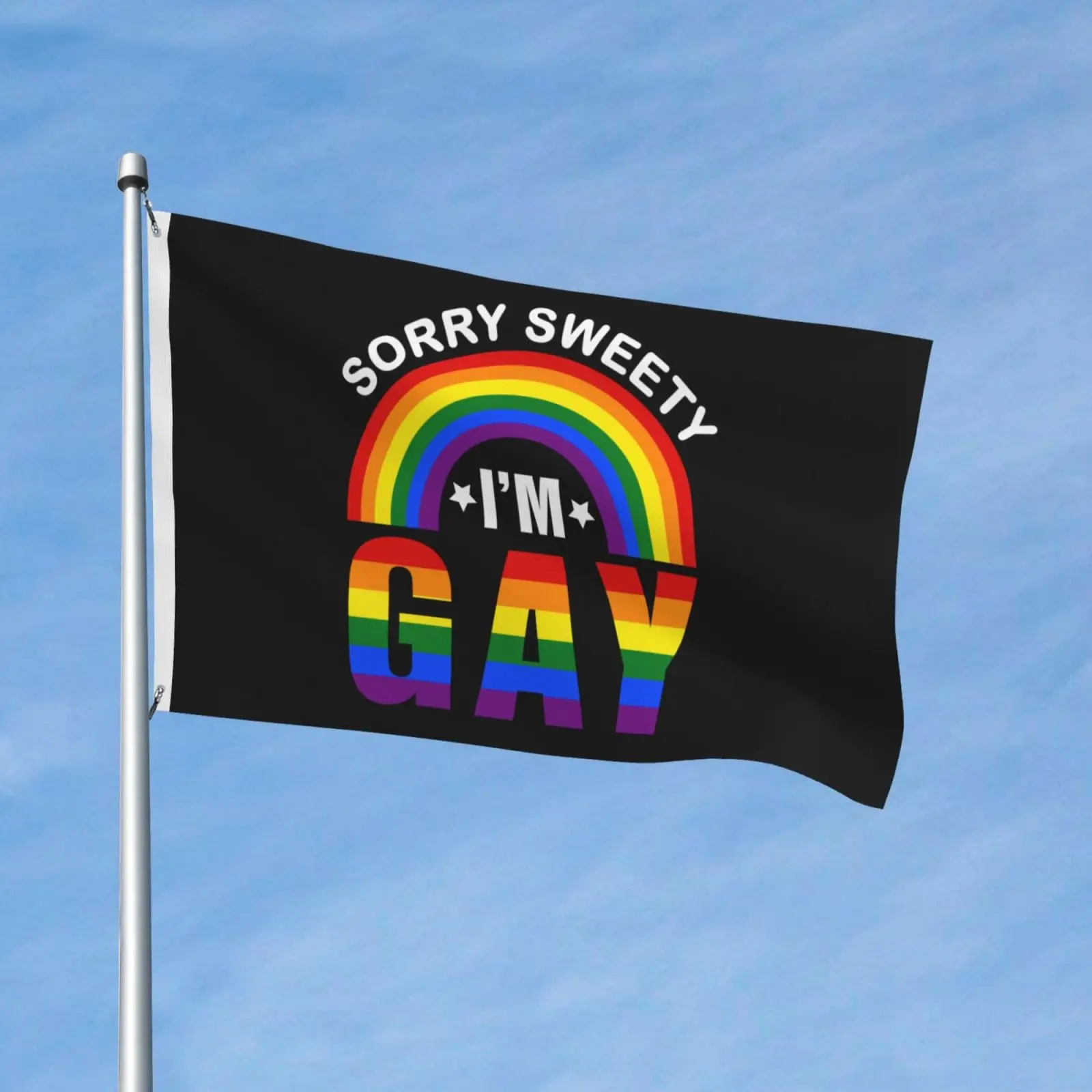 Flagnshow 100% Polyester Sorry Sweety I'm Gay Flag