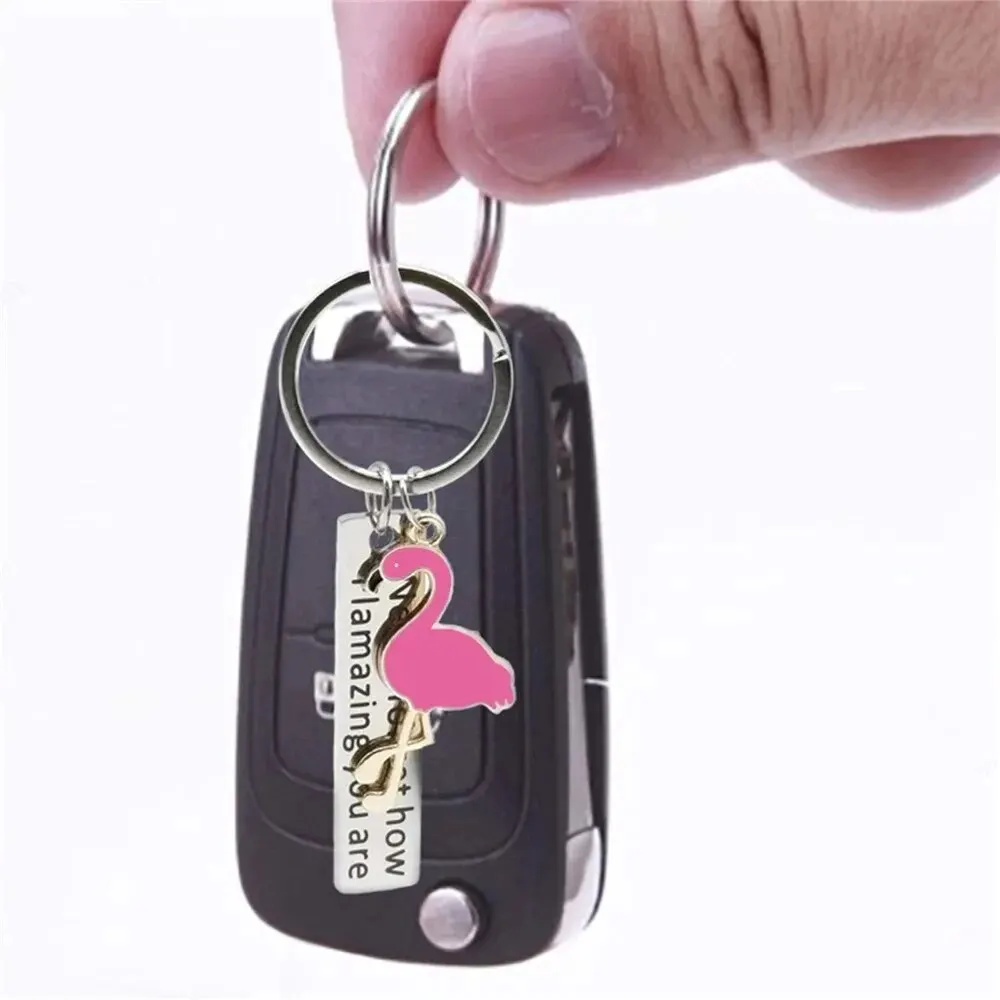 Inspiring Flamingo Key Chains Never Forget How Flamazing You Are Keyring Car Keychains Friend Jewelry Gifts for Women Men