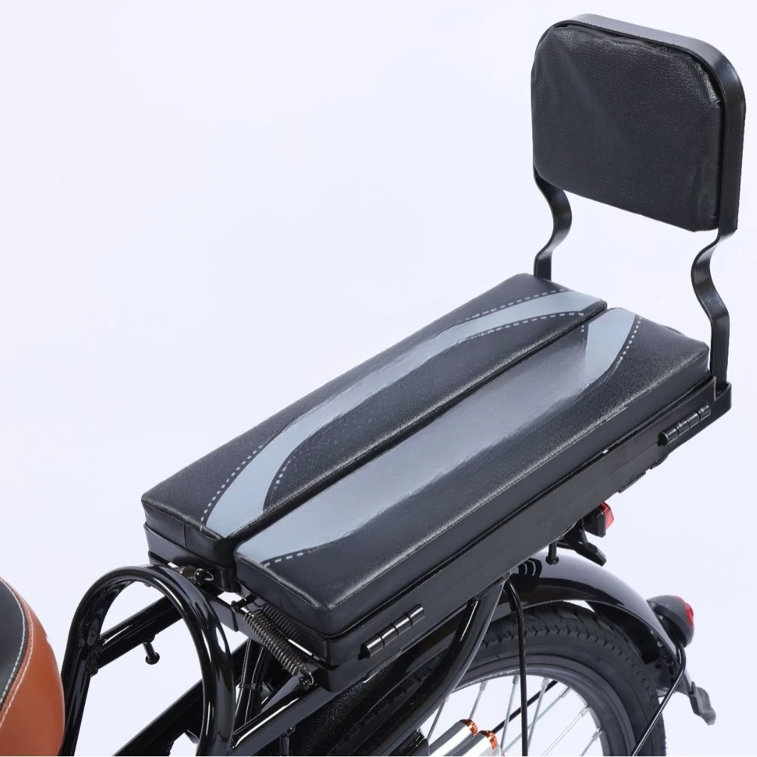 22 inch 24 inch princess electric car electric bicycle takeaway car