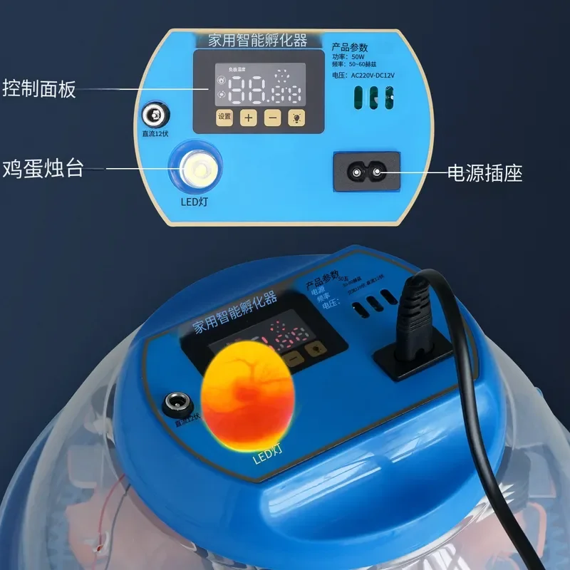 Automatic Egg Incubator for Chicken Duck Goose Small Household Hatcher Intelligent Thermostatic Control 8 Eggs Capacity