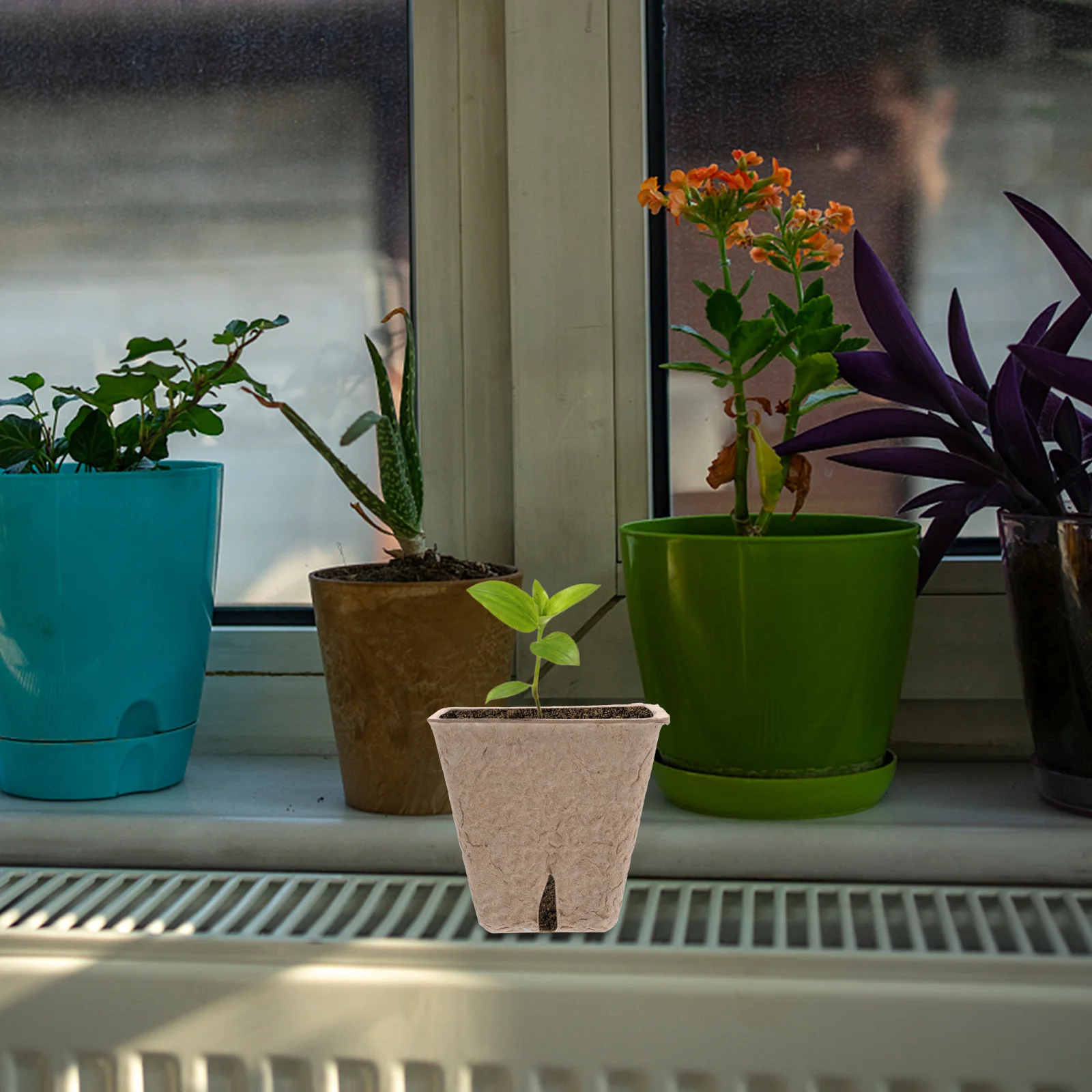 

40Pcs Germination Cup Flower Pot Pulp Planting Container for Indoor Outdoor Garden Starter with Humidity Control Breathable