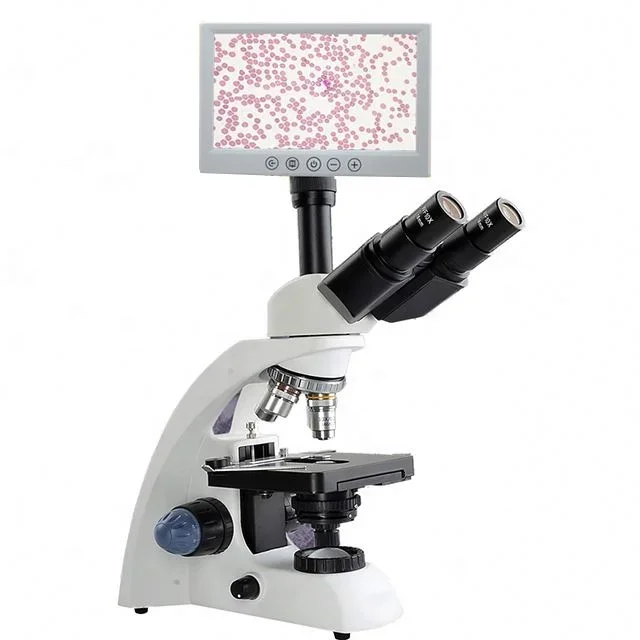 Cheap Trinocular Biological Microscope