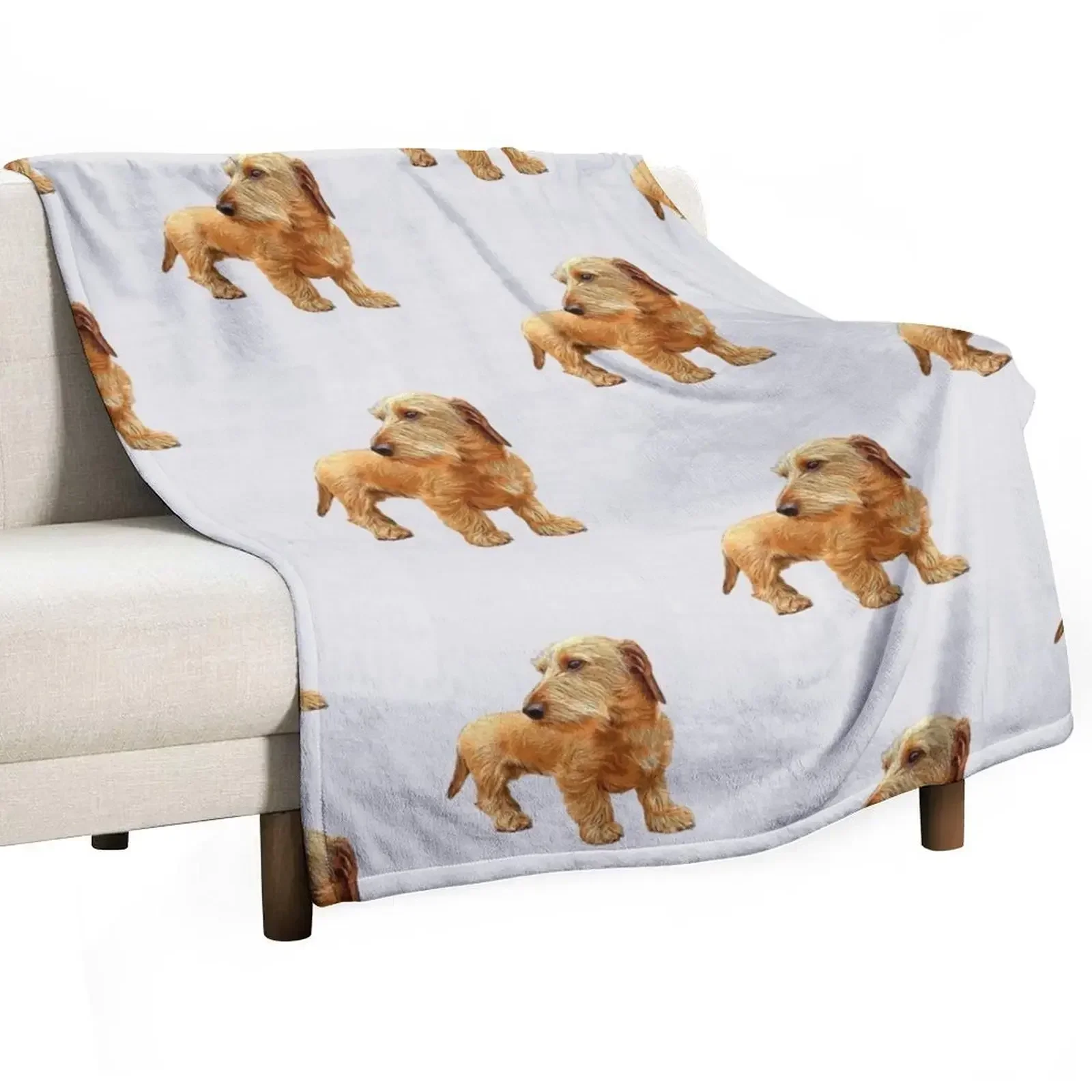 

Dachshund Wire Haired Red Beauty! Throw Blanket Bed Fashionable Polar Plaid on the sofa Blankets