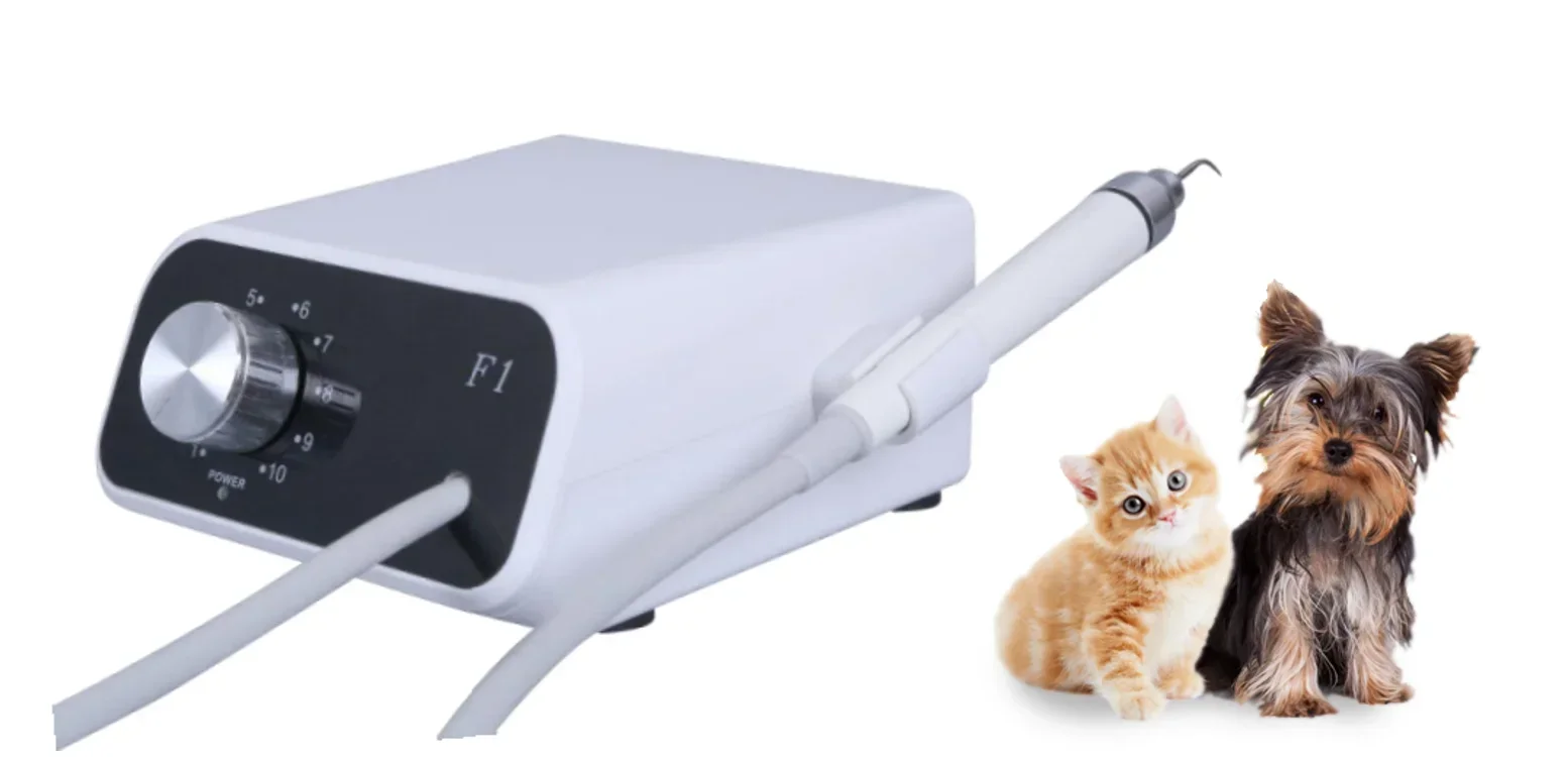 veterinary sonic  scaler with light for dog