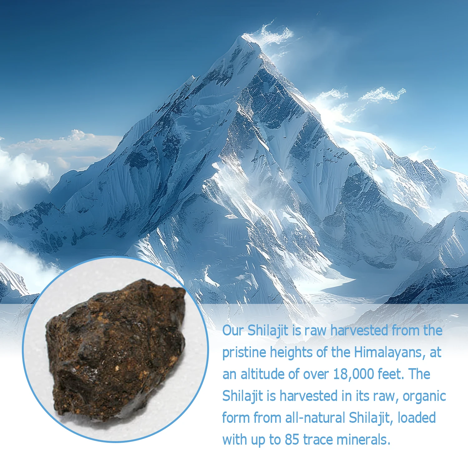 Shilajit - Bellezza e salute della pelle, Qualità del sonno antistress, Migliora la forza, l'energia, l'endurance - 120 capsule