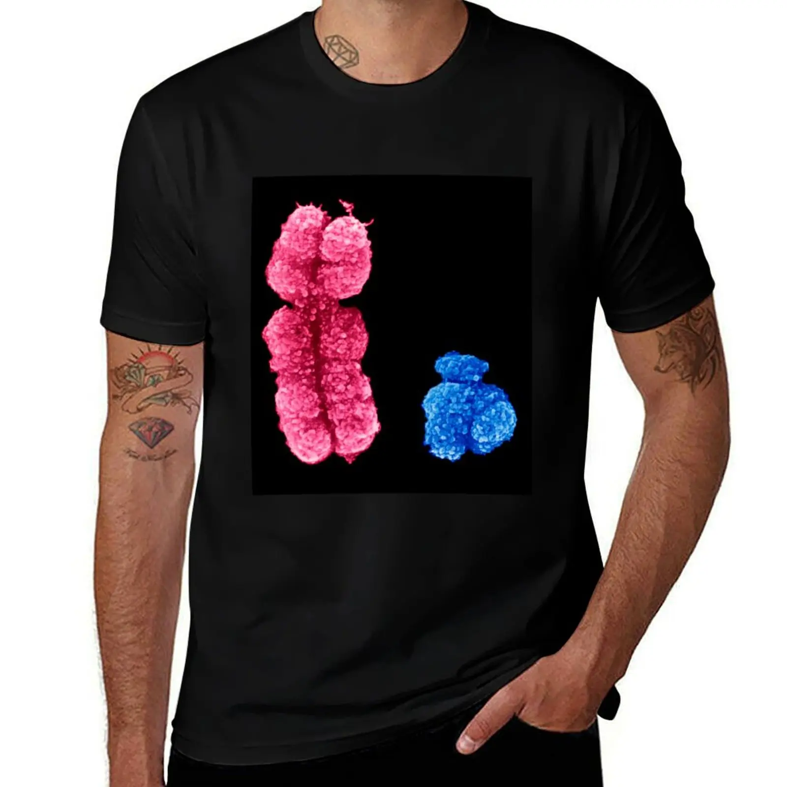 X and Y chromosomes (C003/0729) T-Shirt Lightweight Hiking T-Shirt
