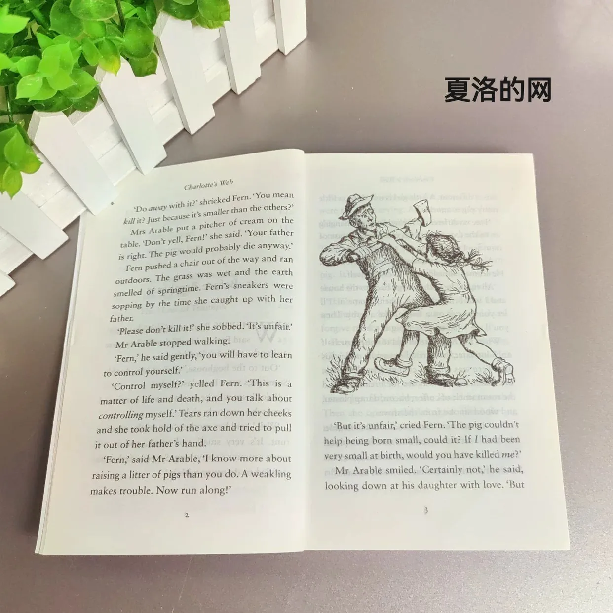 【Newbery】Charlotte's Web Englische Ausgabe