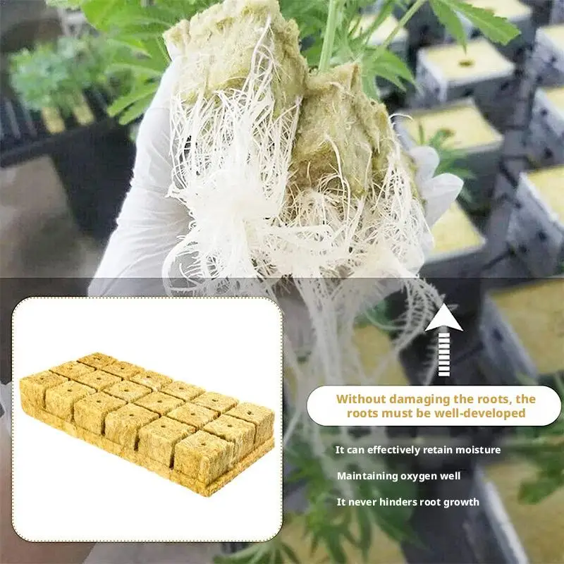 سطح مكعبات البذور الخضراء للإنبات الأمثل لإنبات البذور ونمو النباتات بدون تربة 2026 جديد #4