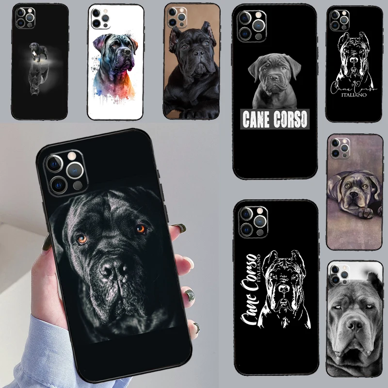 Cane Corso Italian … - image