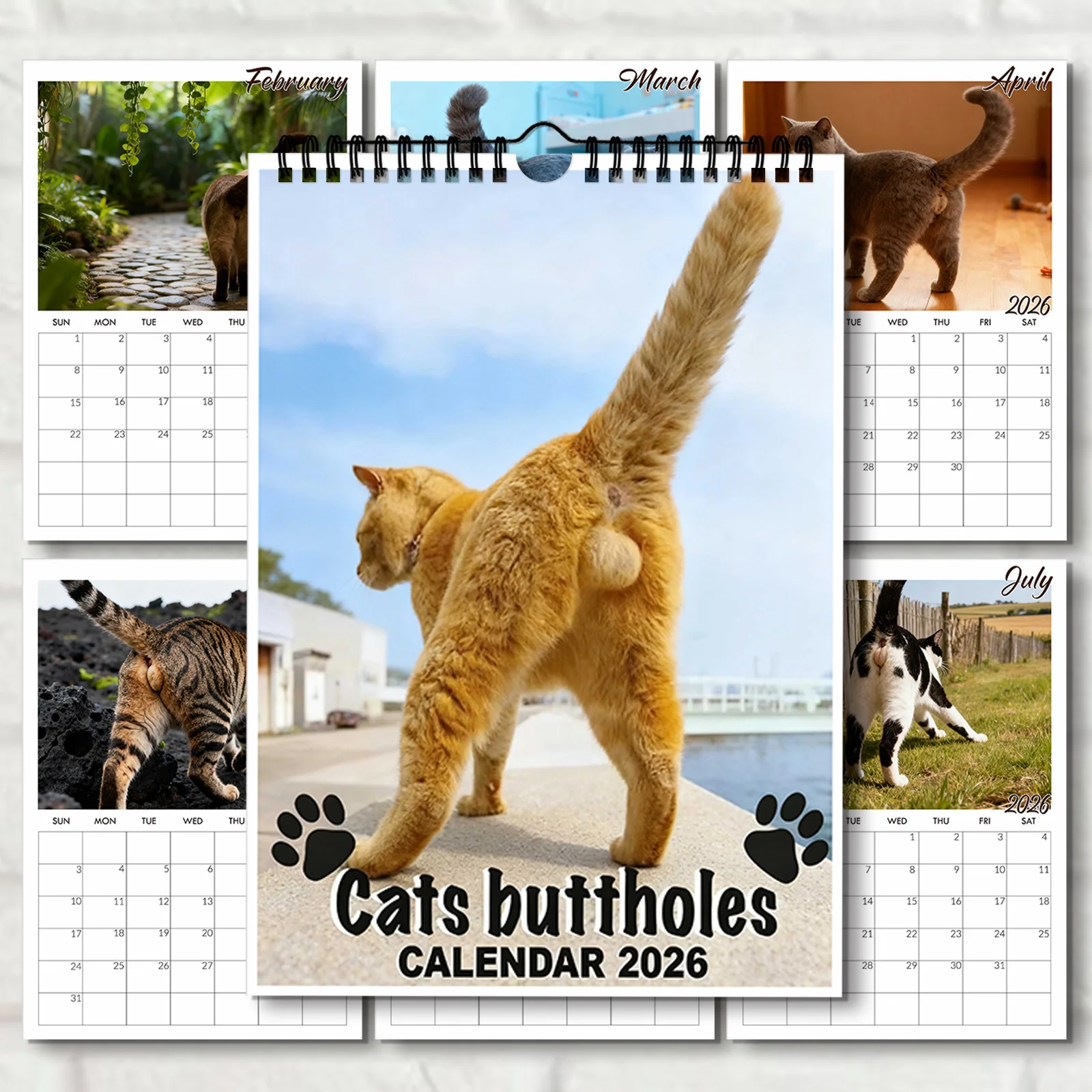 Calendrier mural humoristique sur le thème des fesses de chat 2026, idéal pour la décoration de la maison et l'organisation quotidienne, calendrier mural amusant, 1 pièce