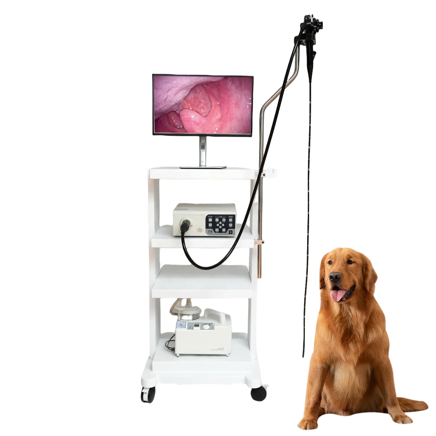 Vericare 8.3mm tube veterinary endoscope camera flexible endoscope VET-1508 for dog/cat