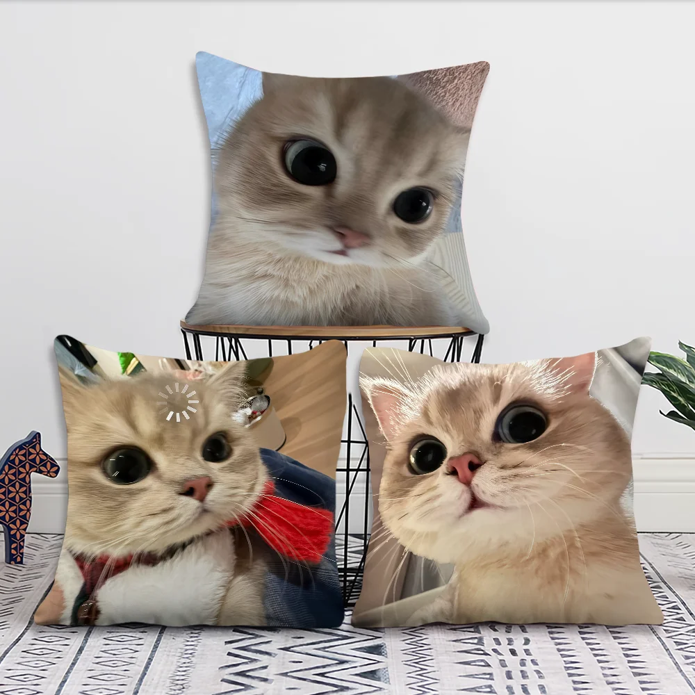 A Cute Cat With Big Eyes Up Close Cushion Cover For Pillow Printing Sofa Decoration Home Car Room Shop Office Nordic Simplicity