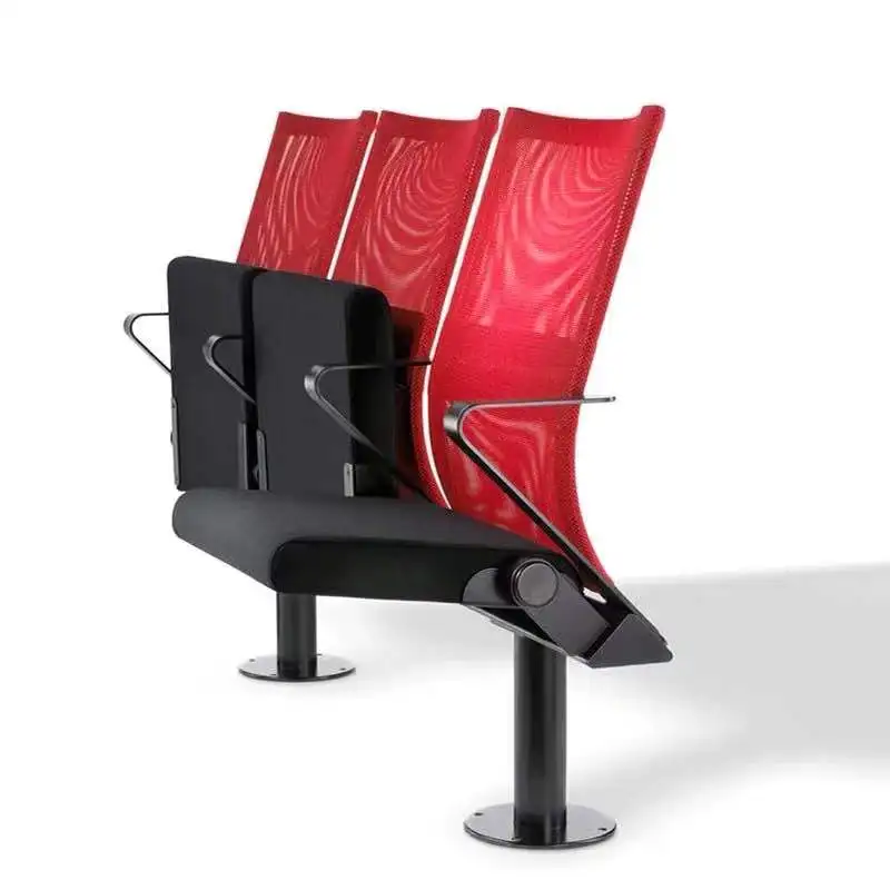 

Lecture Hall Concert Hall Auditorium Chairs Row Chairs Conference with Writing Board Ladder Classroom Row