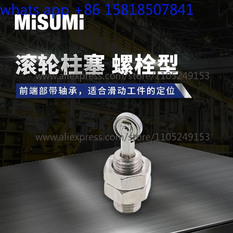 Roller Piston Bolt Type Light Duty Type RBPJ Heavy Duty Type RBSJ Steel