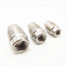 304 Stainless Steel High Pressure One Way Valve 1/8