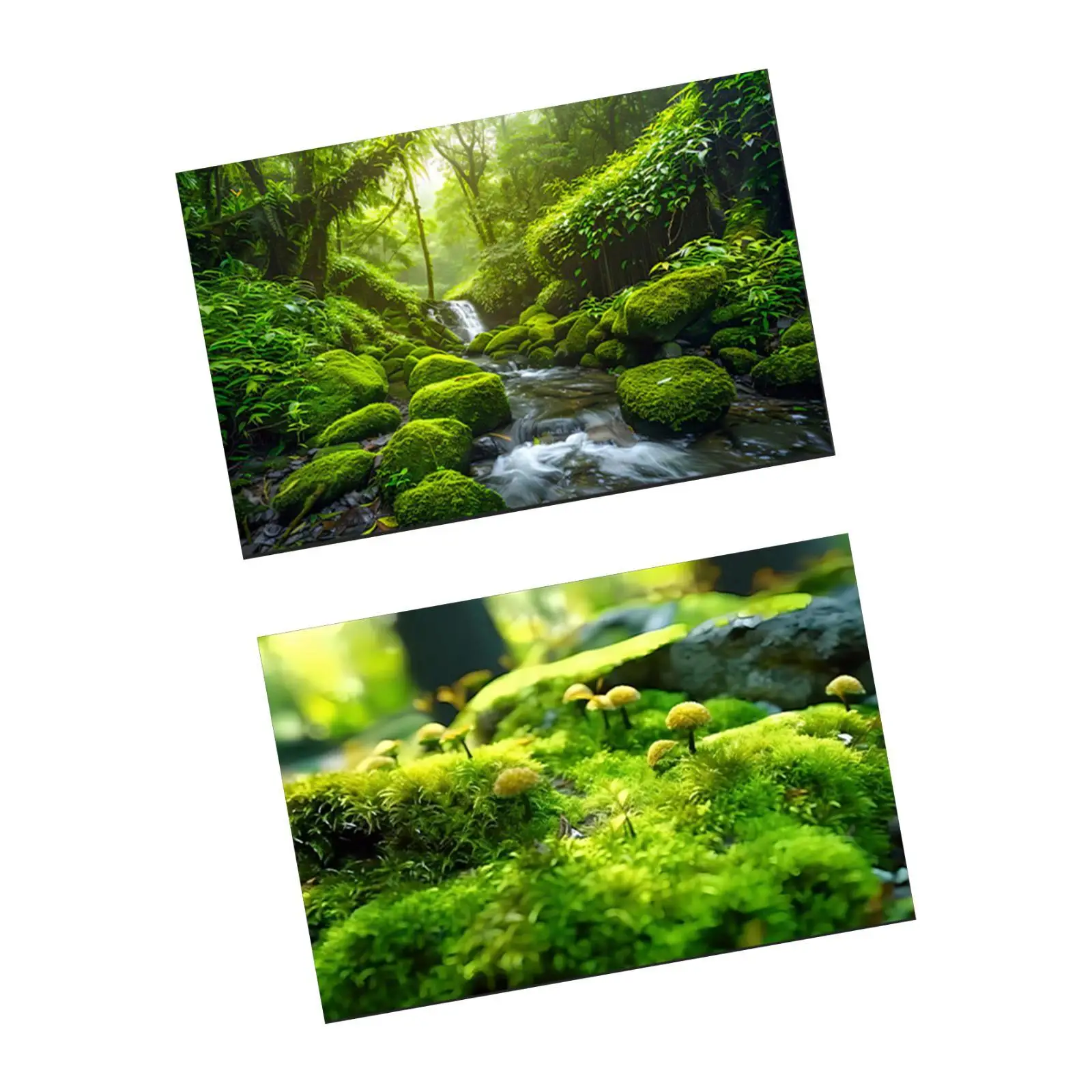 Photo Background Photography Backdrop for Books Magazines Commercial Flowers