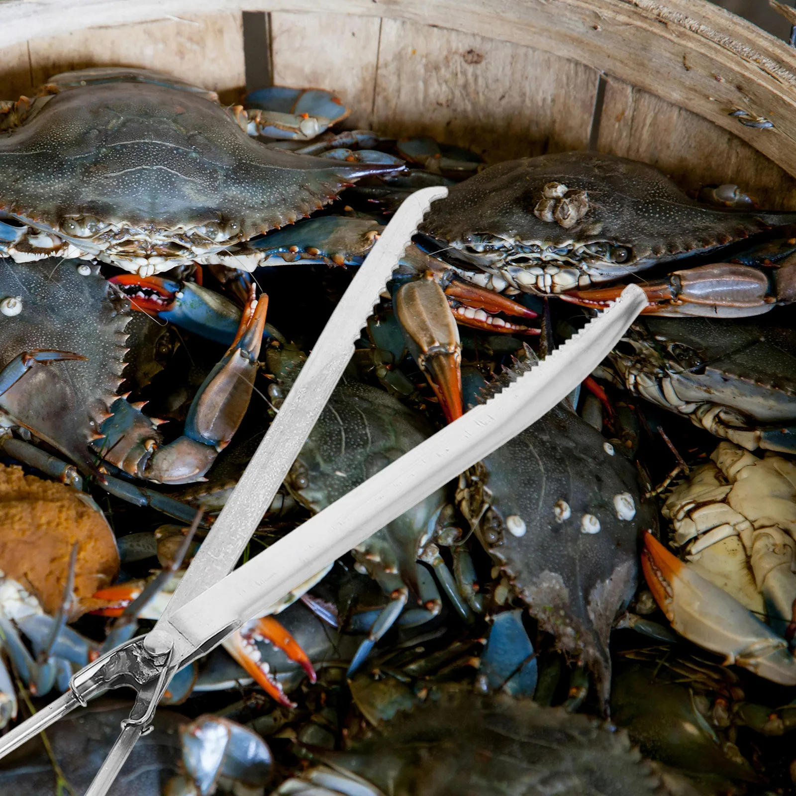 

Small Pet Clip Multi-function Eel Clamp Household Reptile Tank Accessories Feeding Tongs