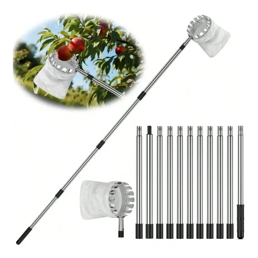 Palo recolector de frutas con cesta, herramienta ajustable para recoger manzanas, mangos, limones, naranjas, recolector de frutas para árboles altos