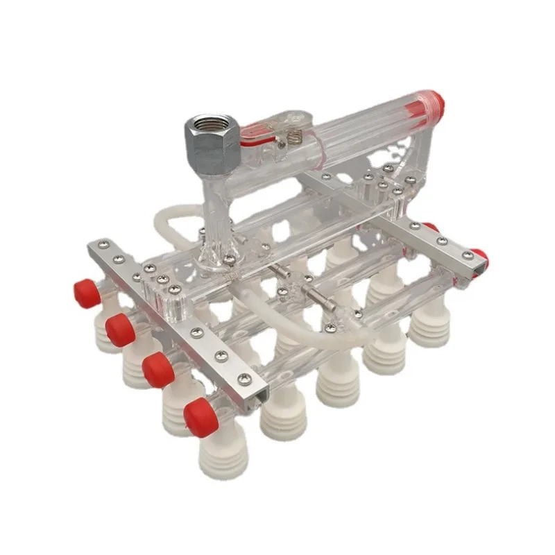 Encoder sottovuoto semiautomatico per estrattore di uova da 30 pezzi V30A