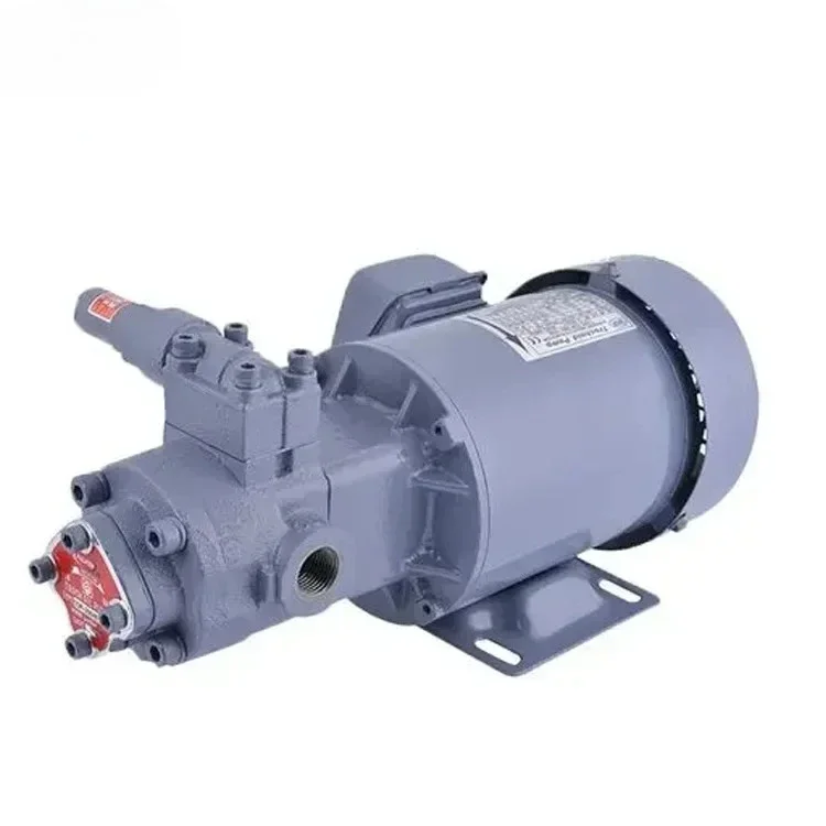 Cross-border Special Supply Original Oil pump + motor combination 25P700-220EVB-062  Motor Trochoid Pump