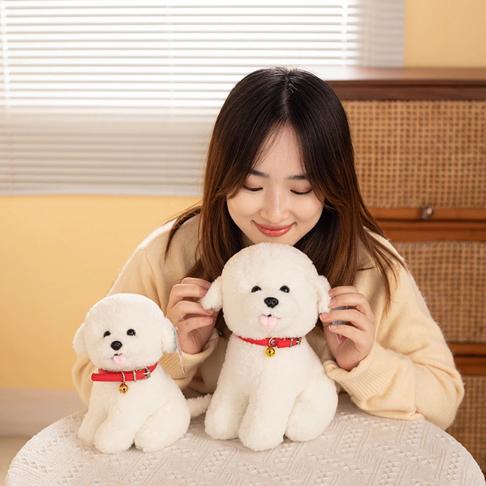 Regalo di compleanno per ragazza in peluche ripiene con cane Bichon Frise con barba bianca carina