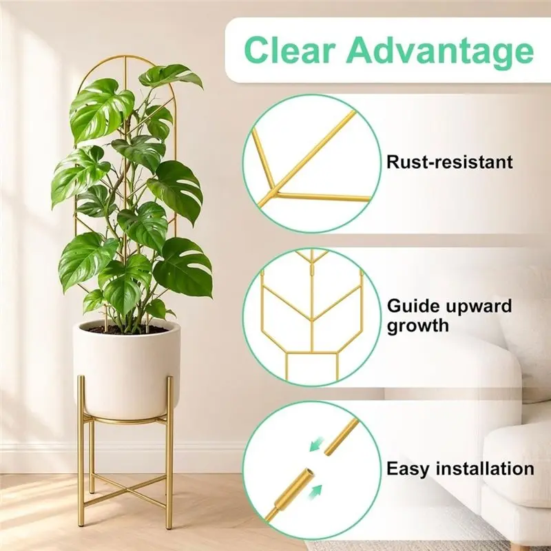 PORK-For Crawling Plants Support 2 Pack Large Climbing Plant Trellis, 30