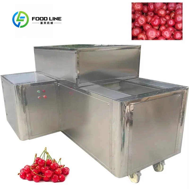 Automatic Industrial Cherry Pitting Machine With Special Design Low Price Cherry Seed Removing Machine FL Customized Wholesale