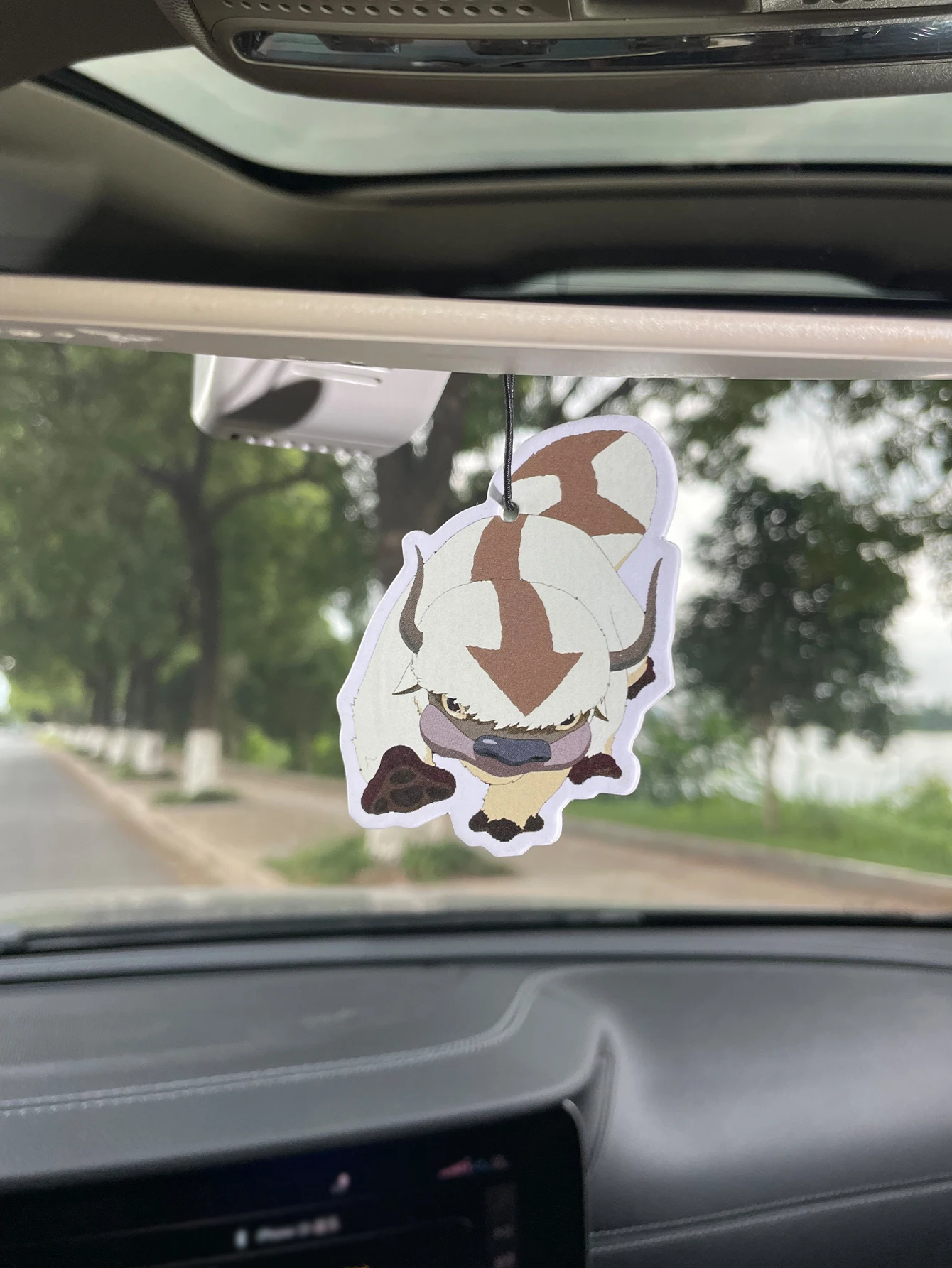 Appa Avatar The Last Airbender Anime Car Air Freshener, Natural Plant Extract Scent Alcohol‑Free Non‑Toxic Hanging Scent Card, 6
