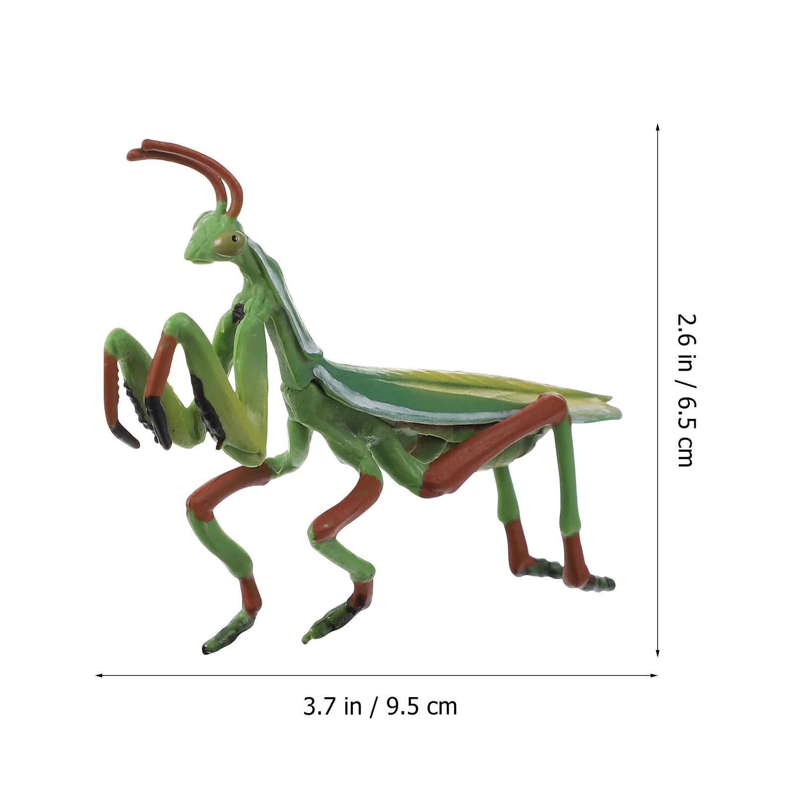 Modelo cognitivo da vida Figura de educação infantil Mantis Kit de brinquedos infantis