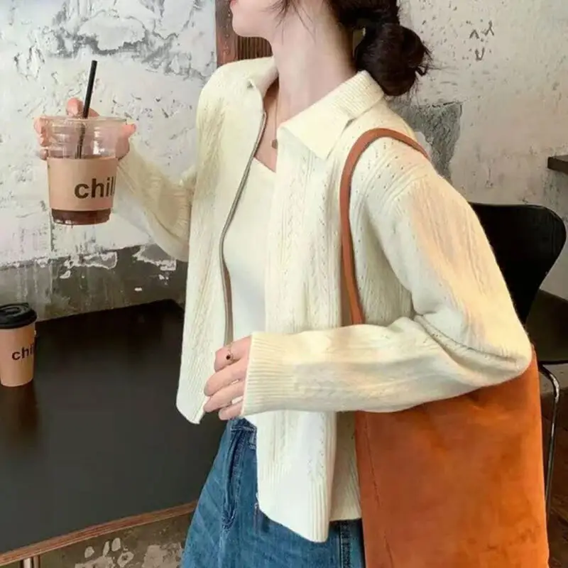 เสื้อสเวตเตอร์ เสื้อแจ็คเก็ต เสื้อกล้าม เสื้อกั๊ก ชุดเซ็ตสองชิ้น เสื้อคลุมถัก เสื้อไหมพรม เสื้อคลุมแขนยาว เสื้อโค้ท สีพื้น ฤดูใบไม้ร่วง ฤดูหนาว เสื้อถักพื้นฐาน