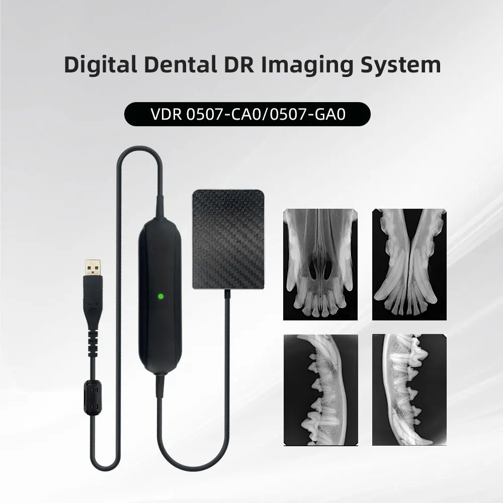 JINGT Digital Dental DR lmaging System Специальный цифровой датчик для домашних животных Датчик 4 размера Легко снимается от низко-высокого доступа