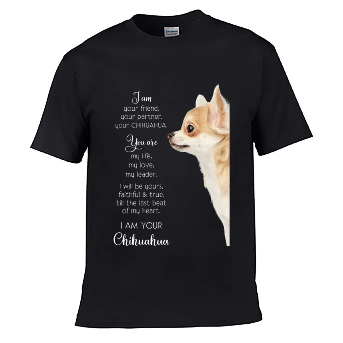 Chihuahua Friend Partner Love Quote Loose Vintage Distressed Washed Casual Tee