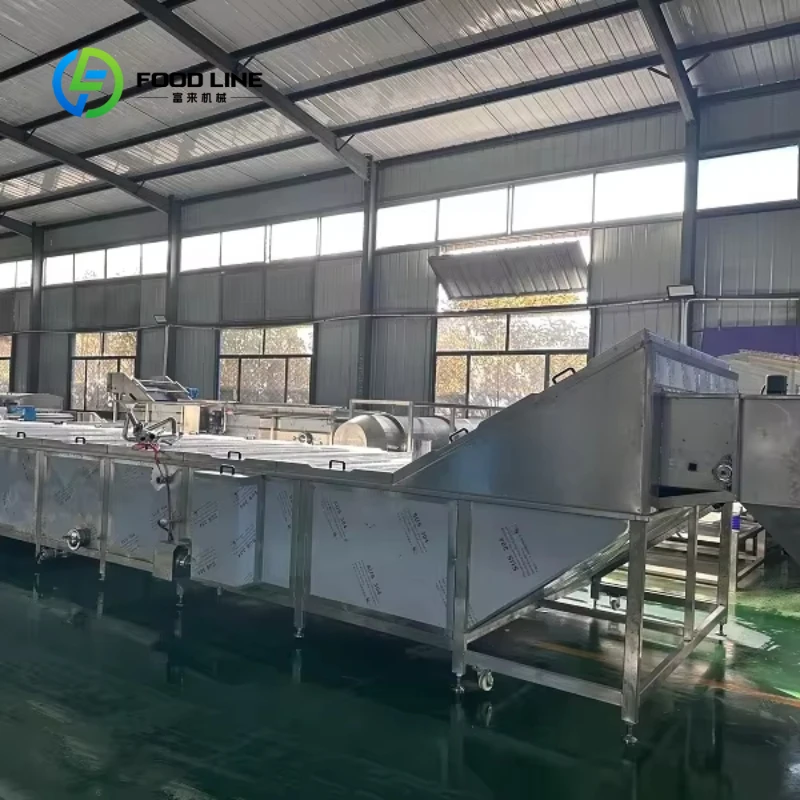 Customized Pasteurizer Pickled Cucumber Pasteurization Machine Spicy Cabbage Pickling and Sterilization Assembly Line